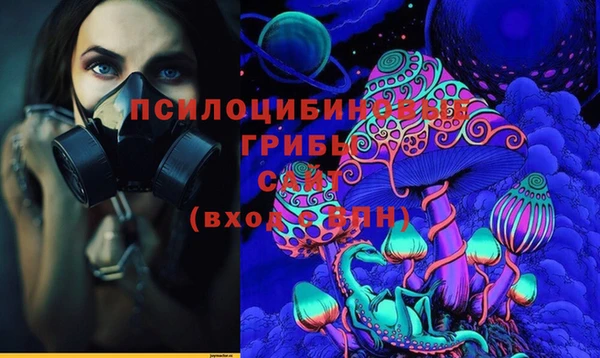 герыч Богородск