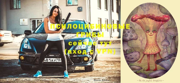 герыч Богородск