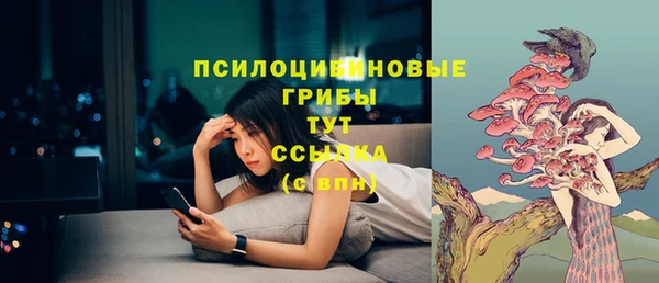 гидропоника Богданович